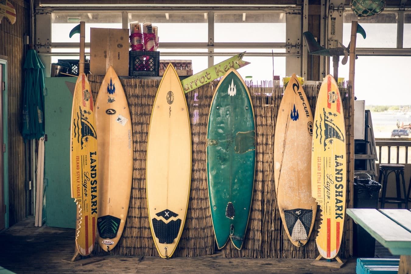 Dalga Sörfüne başlamak ve sörf tahtası seçimi