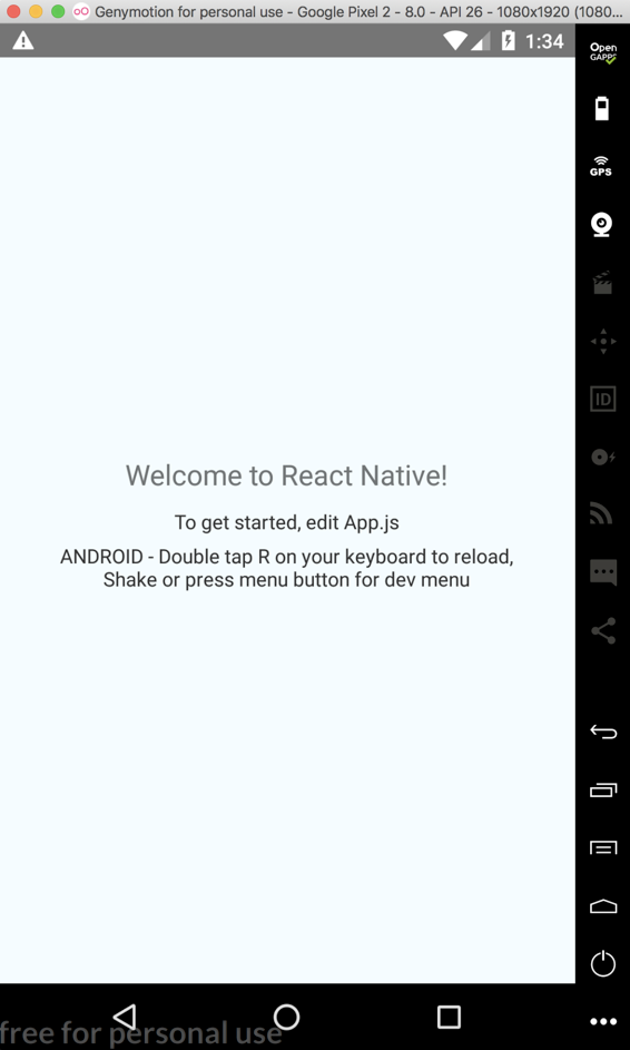 Setting up and debugging a React Native application