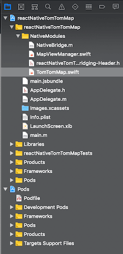 Using TomTom Maps in React Native: Part 2 - IOS